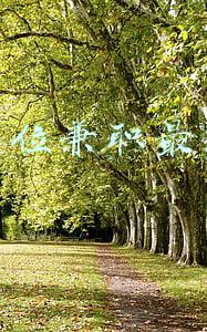 事业单位兼职最新规定2021(事业单位人员可以在职创业？)