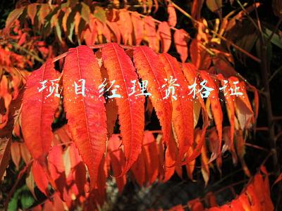 物业管理项目经理资格证(为什么说，物业项目经理证书很重要？原因就是......)