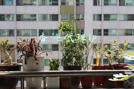 香港代理ip软件(海口警方破获全国首例利用呼叫转移盗取支付平台用户资金案)