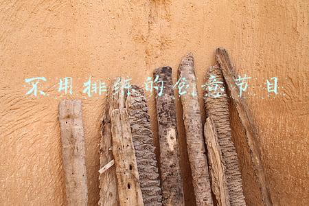 不用排练的创意节目