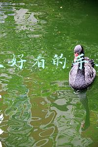 简单又好看的手工灯笼