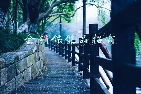 会销保健品招商