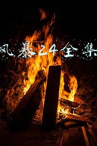 扫黑风暴24全集西瓜视频