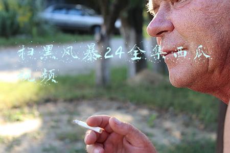 扫黑风暴24全集西瓜视频