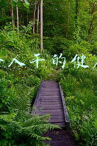 适合个人干的健康行业有哪些(我来告诉你健康管理师有用吗，前景如何)
