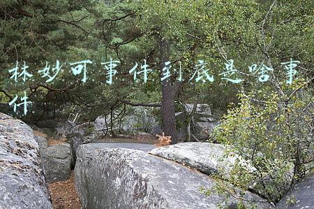 林妙可怎么了(21岁林妙可生图曝光，臃肿老气似大妈，圆脸发福头重脚轻)