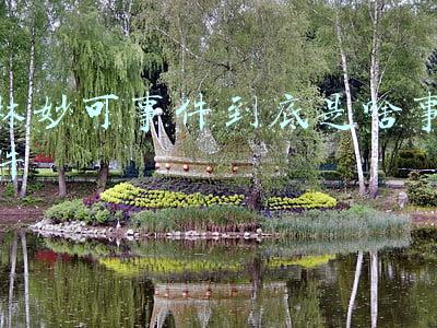 林妙可事件到底是啥事件