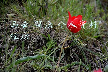 马云:简历 什么学历(马云、马化腾、张一鸣……互联网大佬学历大比拼)