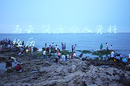 帮我查一下马云的简历(马云个人简介 受任多项国际要职)