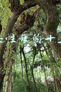 适合女性开的十五种店婴幼儿纪念品店(纪念｜王安忆谈张洁：她是赤子)