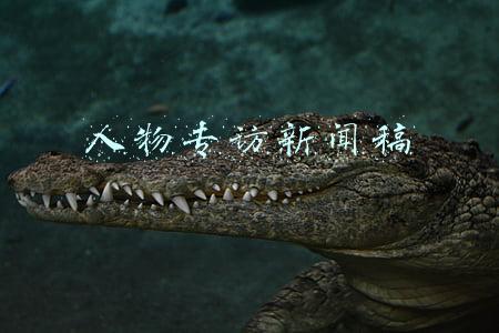 人物专访新闻稿范文300字(我采访过的刘暖曦：也许我们无法抵达一个被审视的灵魂深处)