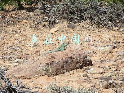 改变观念赢在中国(如何确保2022届高校毕业生就业局势稳定？专家建议转变观念)