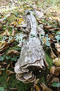 app接单平台(11个软件接私活的平台和一些建议)