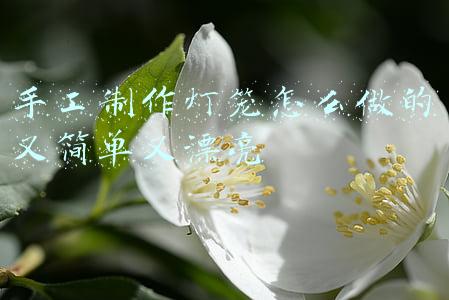 手工制作灯笼怎么做的又简单又漂亮