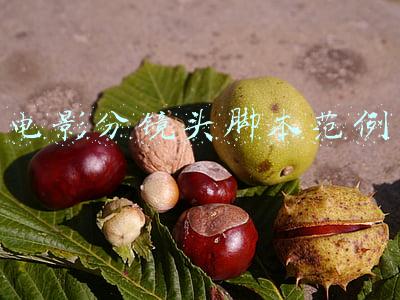 电影分镜头脚本范例 绘画(这些导演的分镜手稿，堪比艺术画作！文末周星驰小学生画作太魔性)