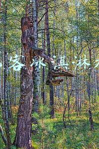 酷巴客冰淇淋加盟