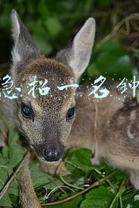 本人急招一名钟点工漯河(漯河，日结工)