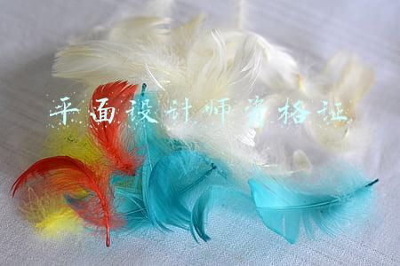 平面设计师资格证查询(学信网查询学历选自考 报名中)