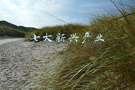 七大新兴产业什么时候提出的(全面建成小康社会：新型工业化)