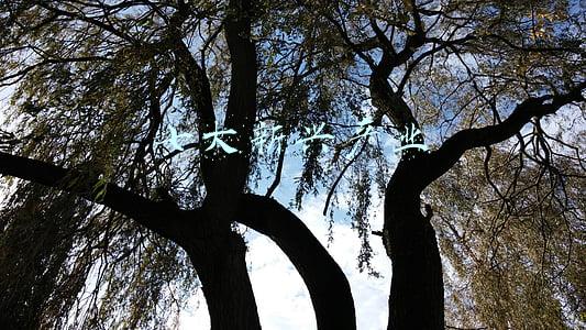 七大新兴产业 七大新兴产业