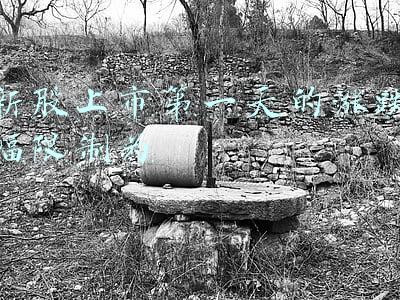 新股上市第一天的涨跌幅限制为