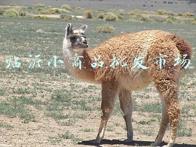临沂小商品批发市场