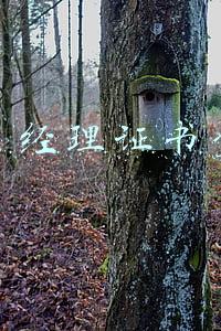 项目经理证书查询