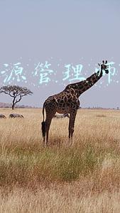 人力资源管理师报考时间2021官网(人事网更新：2021年经济师纸质证书办理情况)