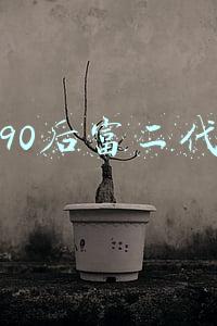 90后富二代女明星有哪些(90后美女富二代，曾和总统女儿平起平坐，自己累计投资超过1亿)