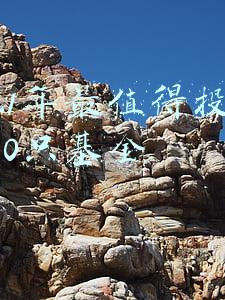 2021年最值得投资的10只基金