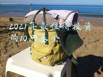 2021年最值得投资的10只基金代码(专业基金买手最爱买的10只基金)