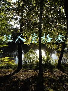不是法学系可以考专利代理人资格考试(做涉外法律业务要做的准备工作)