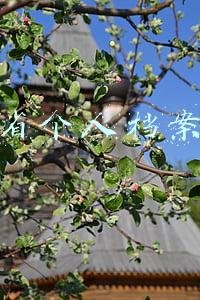 江西省个人档案查询