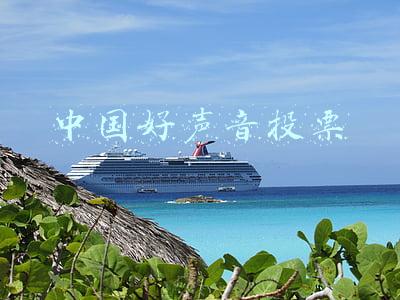 中国好声音投票