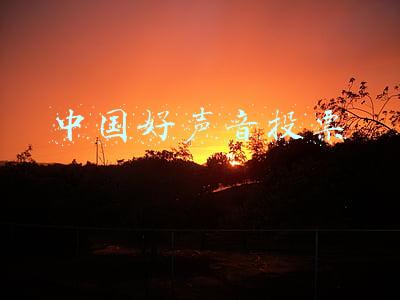 中国好声音投票