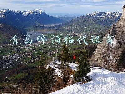 青岛啤酒招代理商