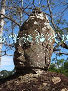 青岛啤酒代理加盟条件及联系方式(青岛啤酒“花样”贺岁 品种多种类全“走红”春节酒水市场)
