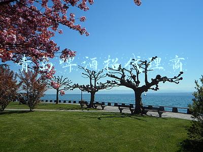 青岛啤酒招标平台(金沙滩啤酒城青西金酿馆周边环境提升工程（施工）招标公告发布)