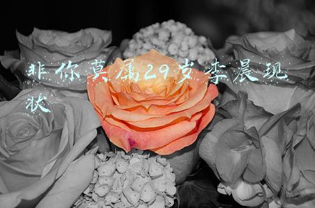 非你莫属29岁李晨现状