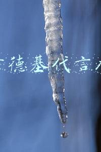 肯德基代言人
