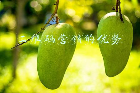 二维码营销的劣势(微营销的利弊有哪些)