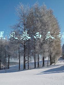 扫黑风暴西瓜视频在线观看免费完整版(扫黑风暴：孙兴被何勇打残再救活，又被执行死刑，高明远一夜白头)