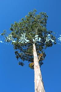 扫黑风暴西瓜视频944(第三轮全国扫黑除恶督导“回头看”将启动)