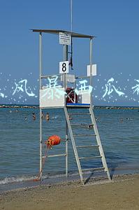 扫黑风暴免费播放(扫黑风暴分集剧情介绍第1-28全集，扫黑风暴在哪个平台播放)