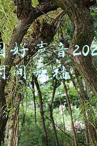 中国好声音2020什么时间开播