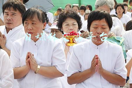 自媒体交易平台