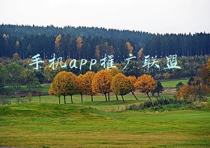 手机app推广方式(史上最全最详细的APP运营推广策划方案)