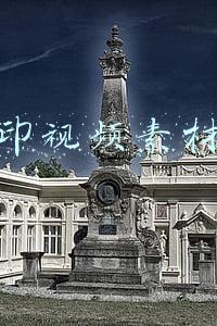 无水印视频素材下载