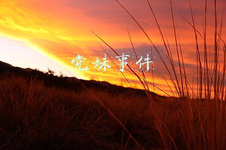 党妹事件全过程(再扒党妹跳舞翻车细节，有些证据，让人怒不可遏)