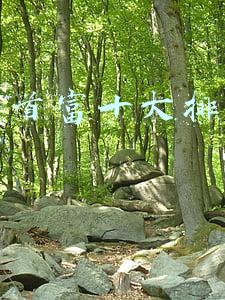 中国首富十大排名2021